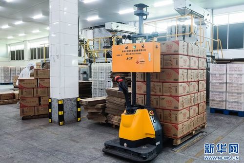 5G+工業(yè)互聯(lián)網(wǎng)賦能食品產(chǎn)業(yè)，高性能減水劑支撐基建升級——晉江高質(zhì)量發(fā)展雙輪驅(qū)動(dòng)